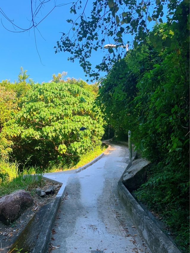 坪洲｜輕鬆行個小山 • 手指山⛰️