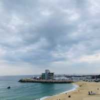 힐링장소로도 즐길 수 있는 갬성 해변, 안목해수욕장♥ 