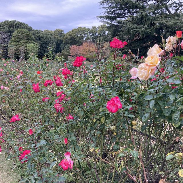 京都市　京都府立植物園