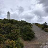 Bruny Island