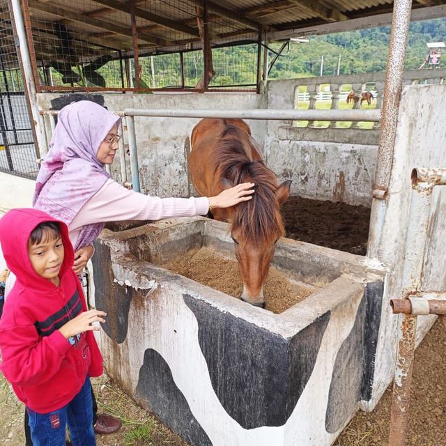 SRZ TERNAK JERAM MENGAJI