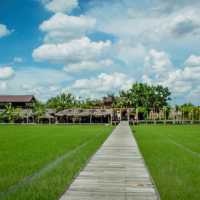 One day trip ณ นครปฐม