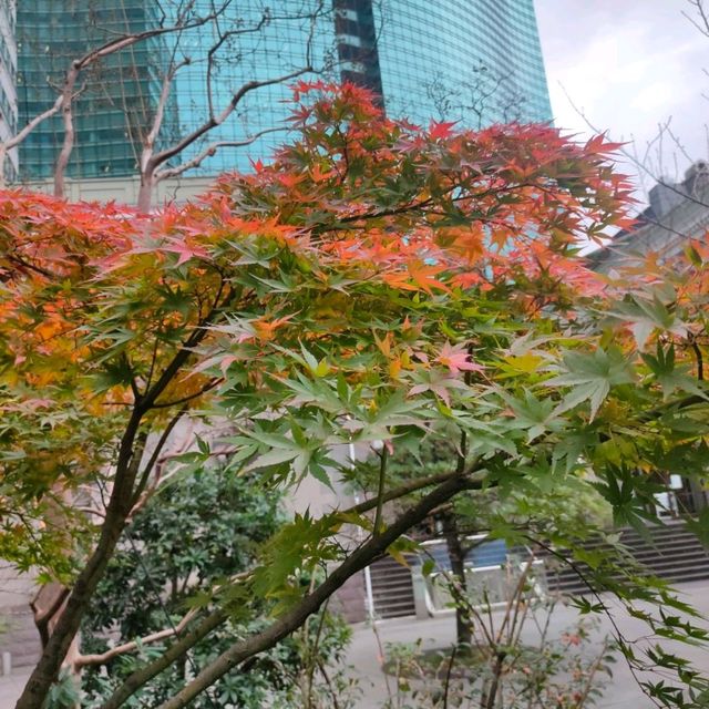 東京 新橋 "紅葉の旧新橋停車場駅舎"         ヨーロッパ!?、新橋です!! 緑・黄・オレンジ・赤、カラフル!!