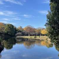 Emperor palace in Tokyo - fall season