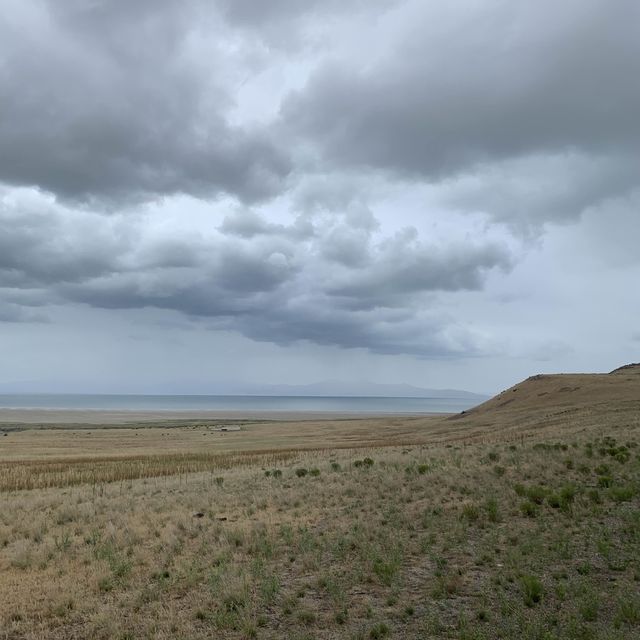 A Salt Lake City Paradise of wildlife