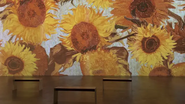 Immersive Van Gogh - best way to view art