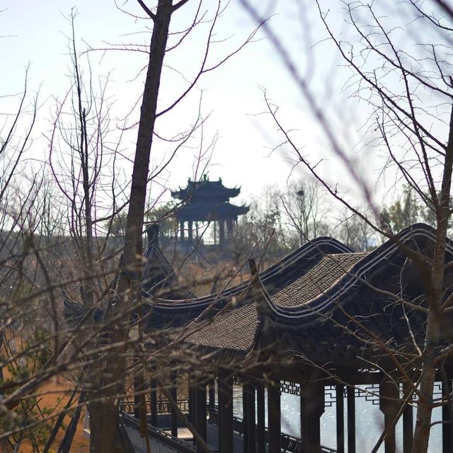 Xinlong Ecological Forest - Changzhou 