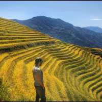 Rice terraces in Guilin