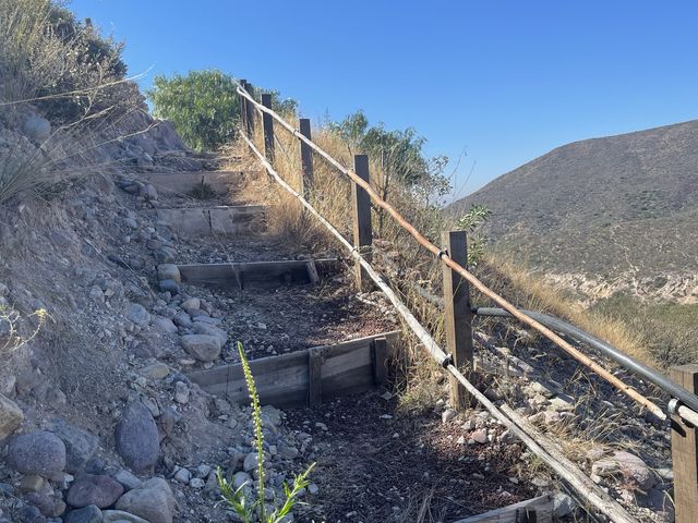 El Olivo🌵 Eco Olivo