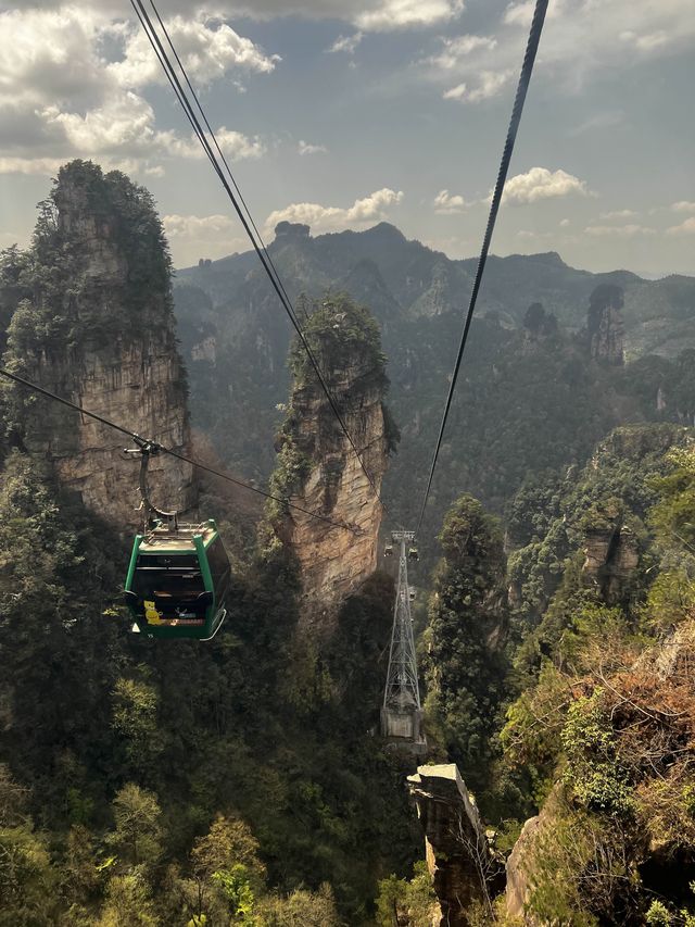 A National Forest Park Like No Other