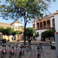 Mushrooms of Seville 