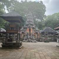 The Incredible Monkey Forest in Bali 