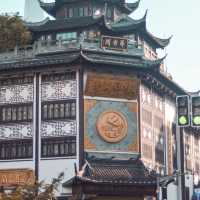 Exploring Shanghai (Yu garden)