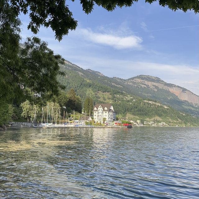 Weggis - lake and mountain
