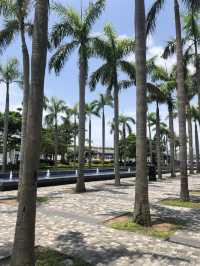 Tsim Sha Tsui and surroundings 