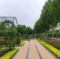 Rose Garden in Houtan Park