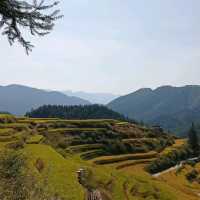 Golden Rice Terraces Oujia Village, Taibao Town, Lianshan, Yao Autonomous County, Qingyuan
