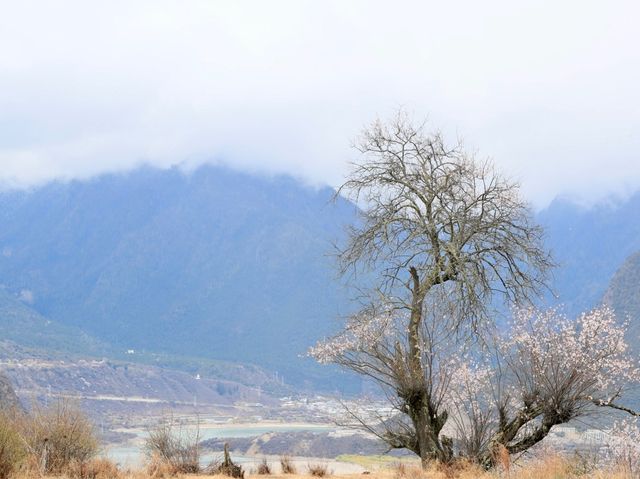 雅魯藏布江索松村