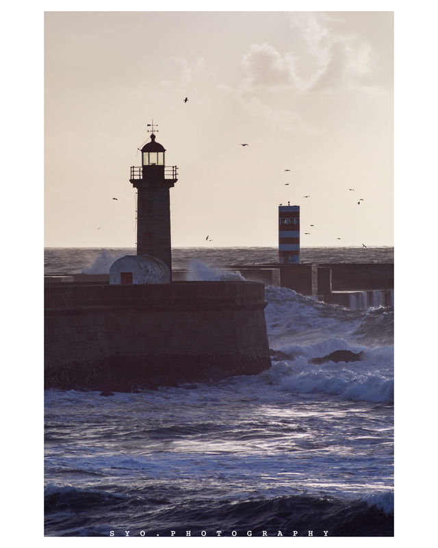 🌟Tranquil Foz do Douro by the Atlantic🌟