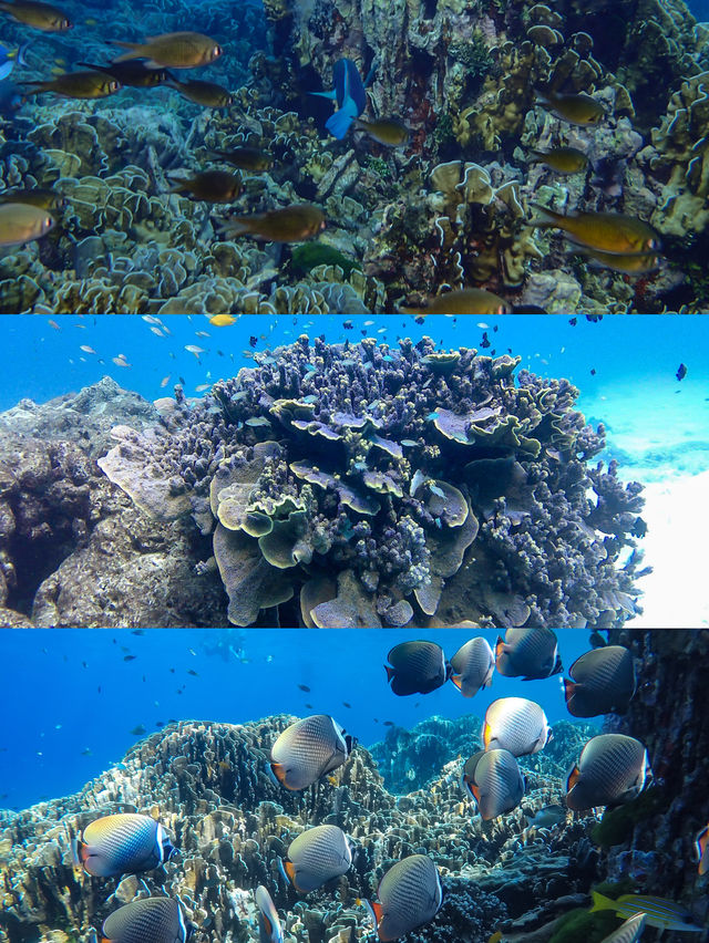 Similan Islands | This treasure island in Thailand is breathtaking!