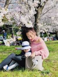 Cherry blossom season is coming again, I really want to go and see the Tamagawa River of the past.
