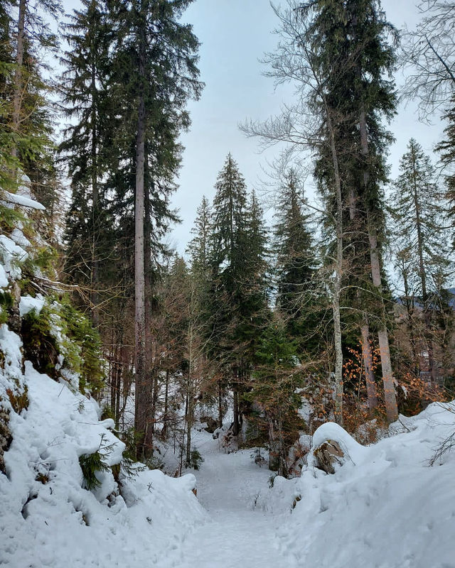 In 2023, I came to a wonderland for my first hiking trip.