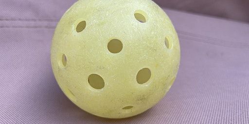 3D Team Pickleball Tournament | Enterprise Park