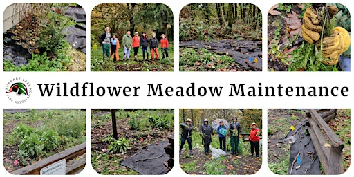 BLPA Weedbusters Event (Wildflower Meadow Expansion & Seeding) | Burnaby Lake Park -  Lenson
