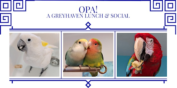 OPA! A Greyhaven Lunch & Social | Stefanos Restaurant