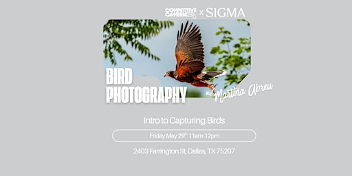 Bird Photography w/ Martina Abreu | The Slate