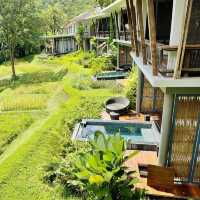 "Plunge Pool” กับวิวไร่ชา..นาขั้นบันได 