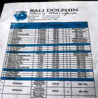 印尼峇里島Bali dolphin