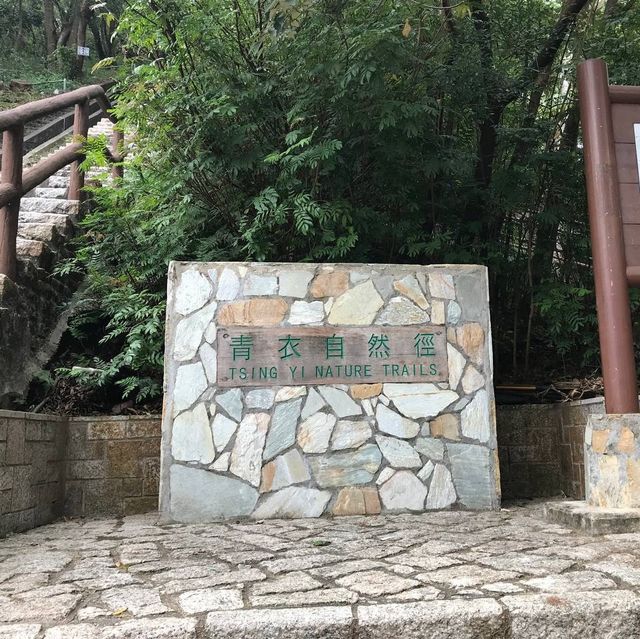近距離欣賞青馬大橋—青衣自然徑