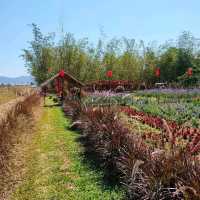 คาเฟ่ในสวนสวยสไตล์ญี่ปุ่น