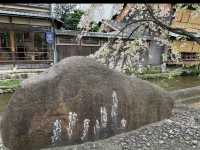 京都　KYOTO SAKURAめぐり❗️祇園白川の桜に感動❗️