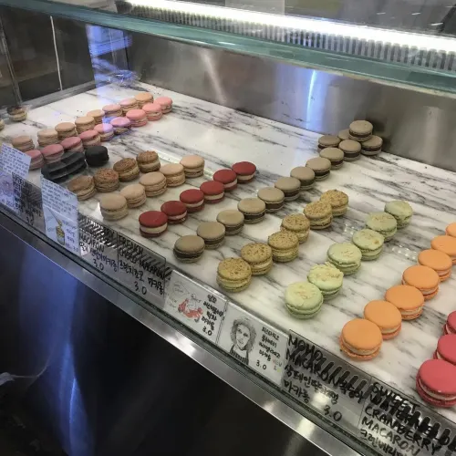 부산 마카롱 맛집 “지미지니팍”