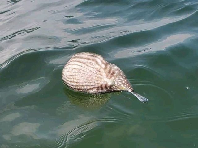 全身暑假 投奔初夏🚣♀️ 全身暑假 投奔初夏🚣♀️