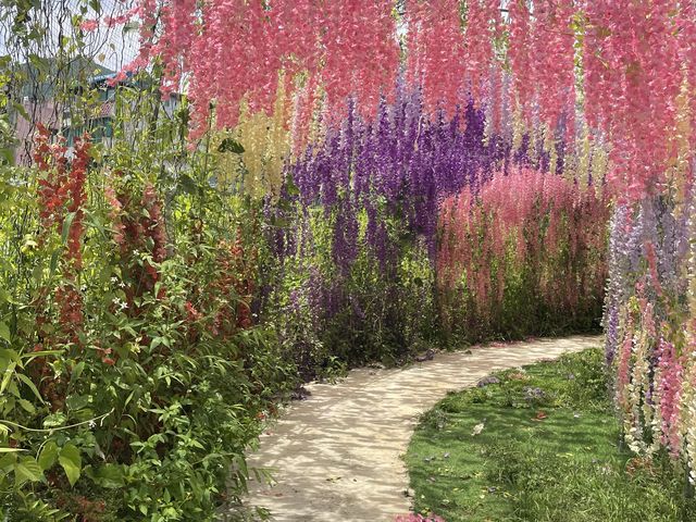 📍蝶豆花有機農莊