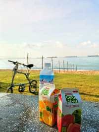 Morning Cycling @East Coast Beach Park