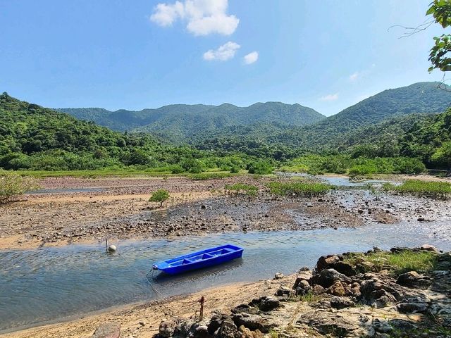 世外桃源系列~荔枝莊🏝️