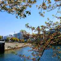 象鼻公園及山下臨港線散步道