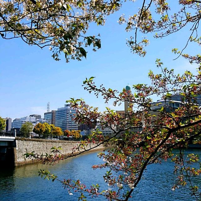 象鼻公園及山下臨港線散步道