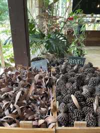 BN Farm ไร่บีเอ็น พืชผักผลไม้ ของท้องถิ่น