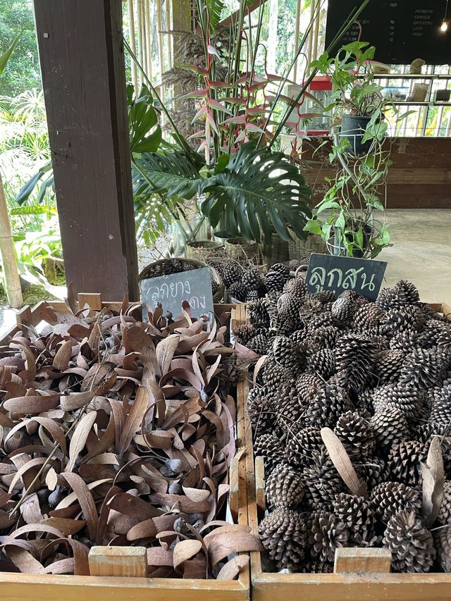 BN Farm ไร่บีเอ็น พืชผักผลไม้ ของท้องถิ่น