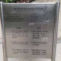 尖沙咀大包米遊