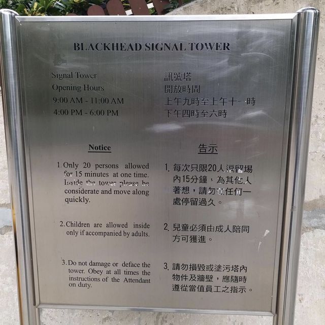 尖沙咀大包米遊