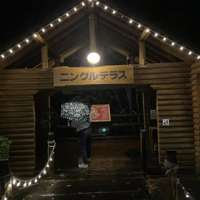 ニングルテラス🏠