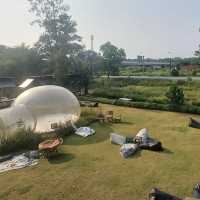 คาเฟ่ในสวน ของหวานเริ่ด มุมถ่ายรูปสุดแซ่บ