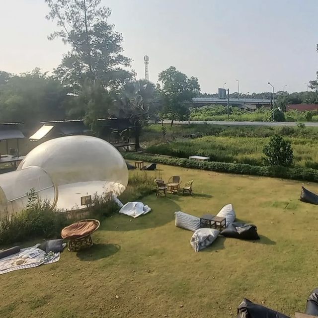 คาเฟ่ในสวน ของหวานเริ่ด มุมถ่ายรูปสุดแซ่บ