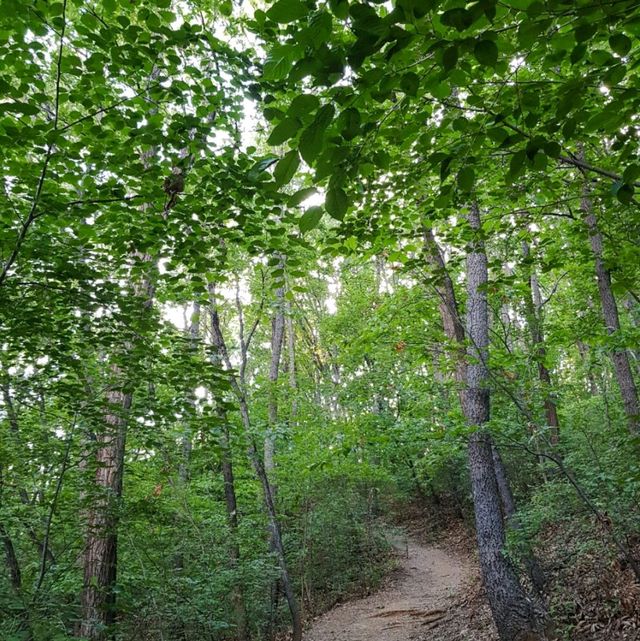 군포 수리산 피크닉